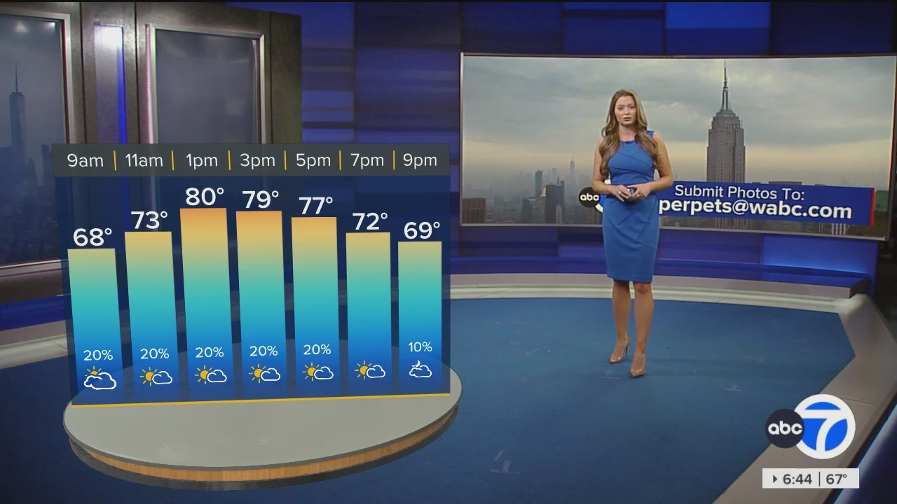 Eyewitness News Sunday Morning_20240526_11001230.ts_snapshot_00.45.23.393