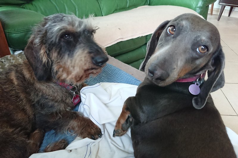 [Image: DSC-2025-07-06.jpg]