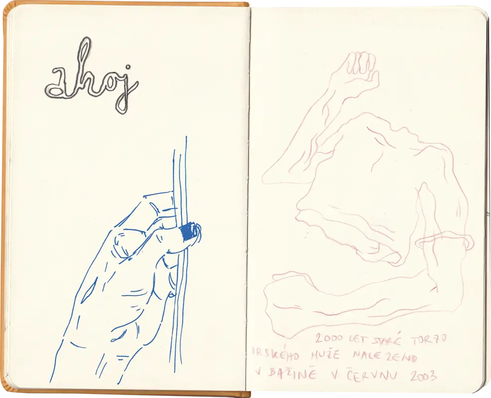 skicak-zluty12.webp