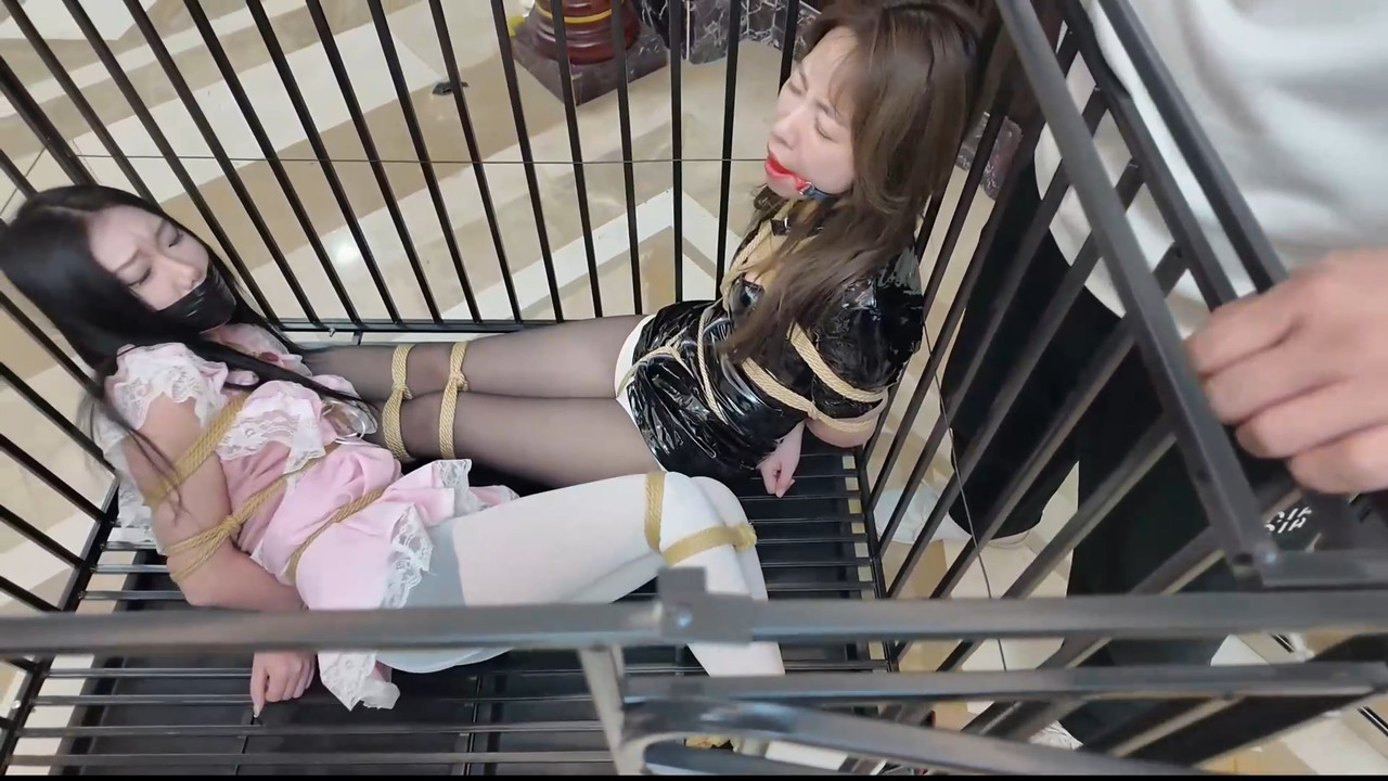 枫叶原创 与谁共眠·姐妹终成笼中鸟 韩玉.mp4_20250211_185440.524