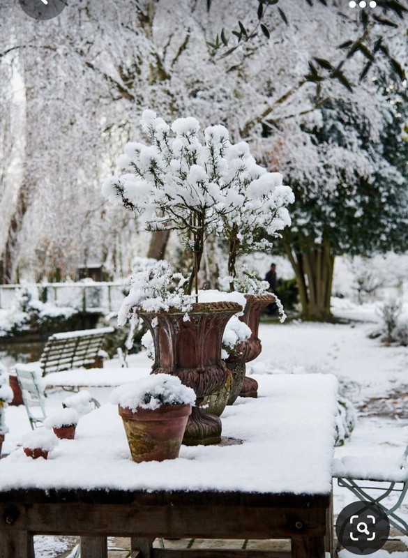 Screenshot_20231019_205609_Pinterest