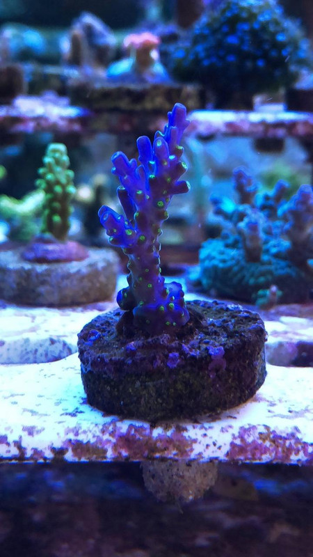 9C9099C7-3DF6-4C53-A28E-C8C5E572D3EB