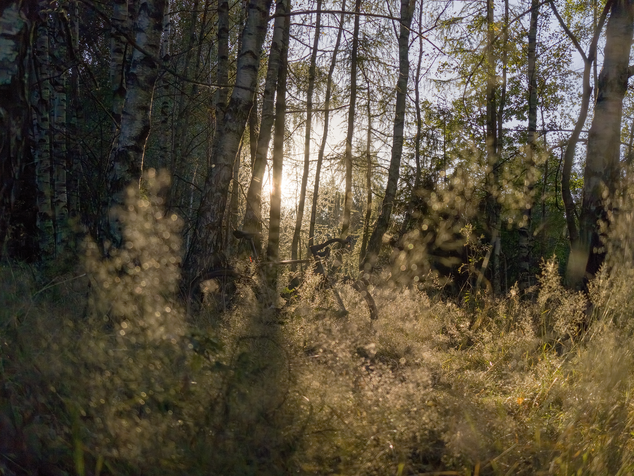 IMG-20260815-191134-118.png