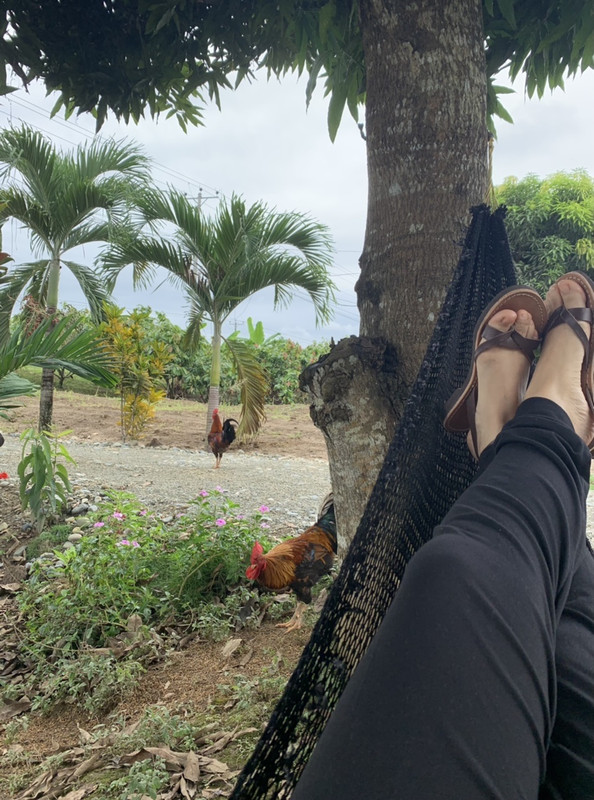 35A33C20-81F8-4CC3-8714-8FE10FF8B9EC