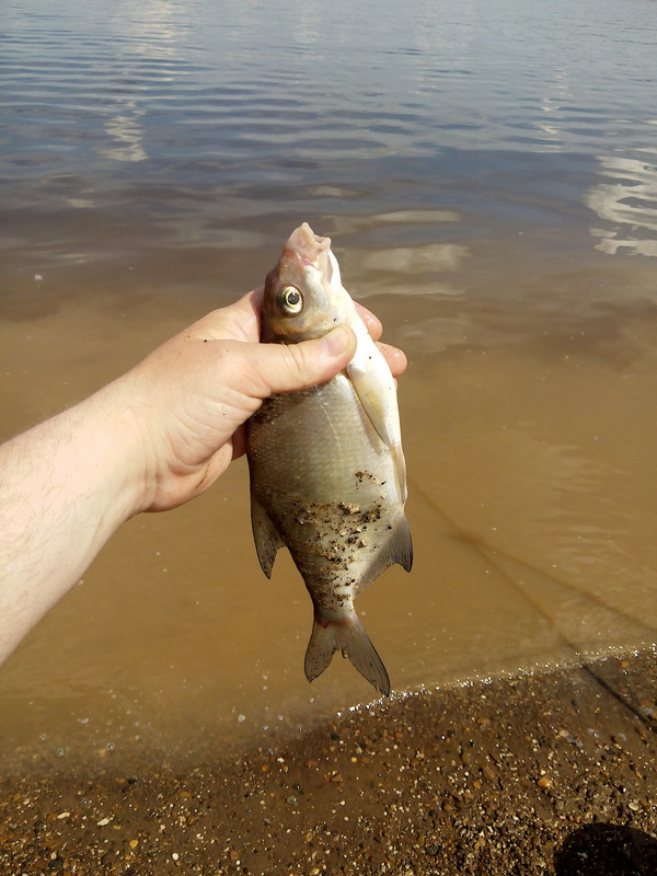 Клепики 12.06.16 00