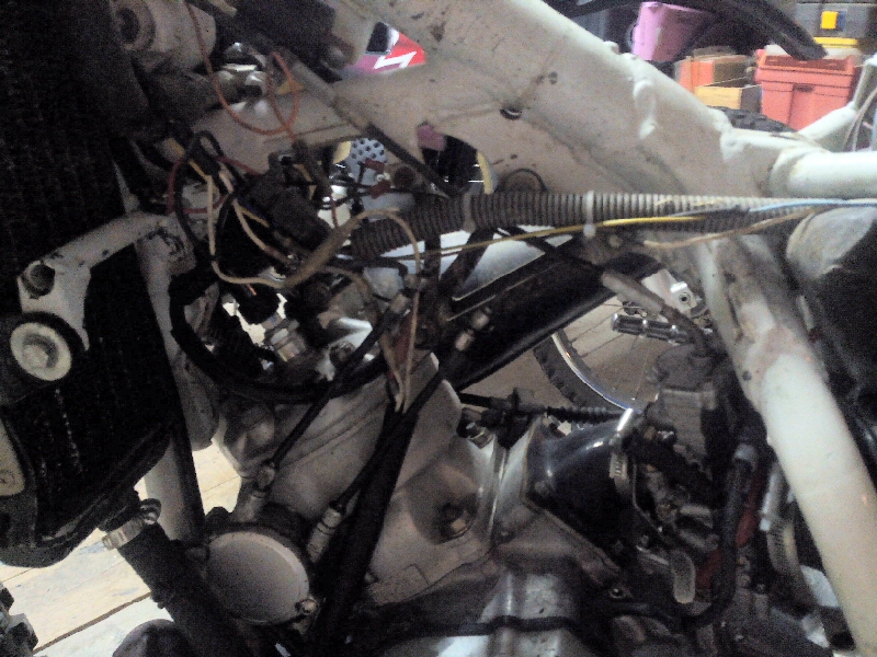 467414IMG20150605113804