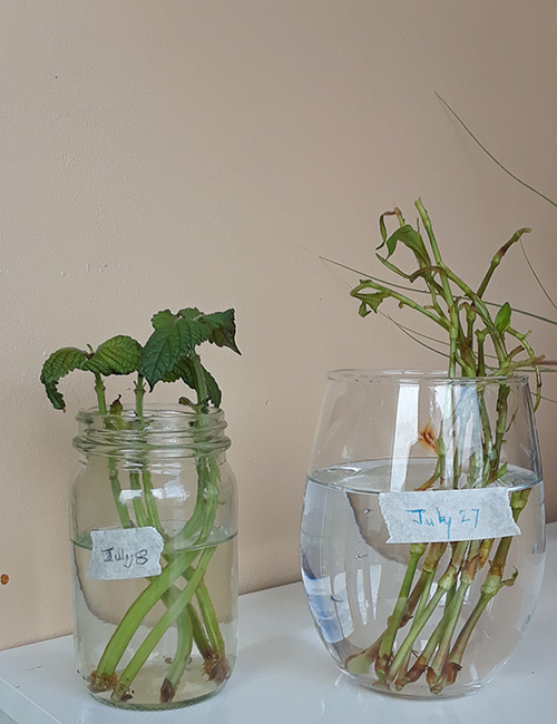 [Image: 20220727-132817.jpg]