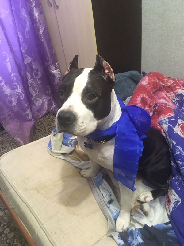 6855627E-BEDD-4DE5-84B5-644E99286855