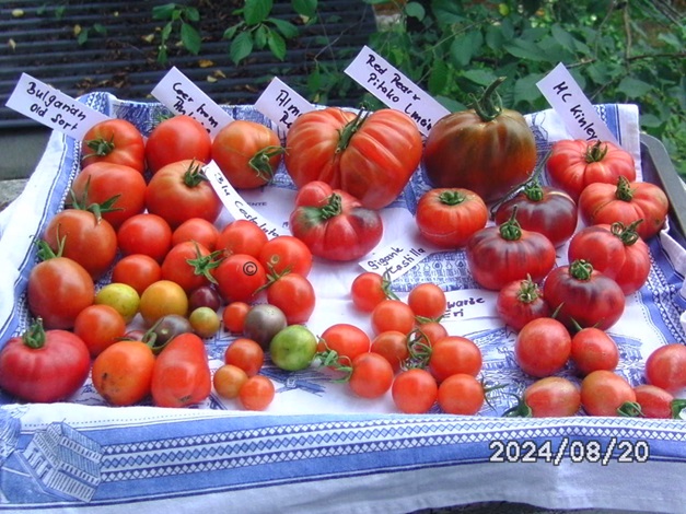 [Bild: BILD0340.jpg]