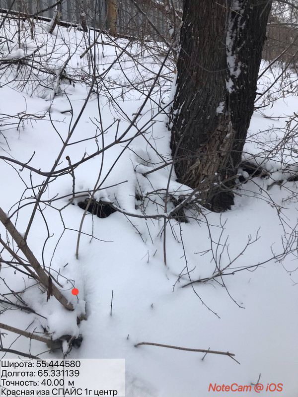 768E84DE 752F 47C7 A51E 2ADD59A5A9DF