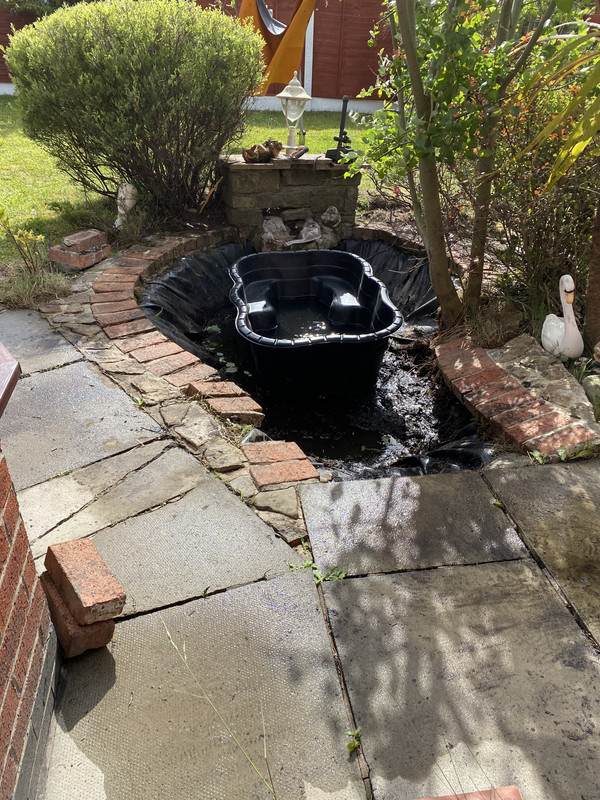 D36B1CF4-8C71-406F-9CE2-0643416C25FE