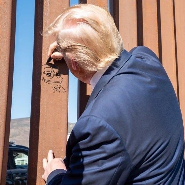 Trump-Pepe-wall