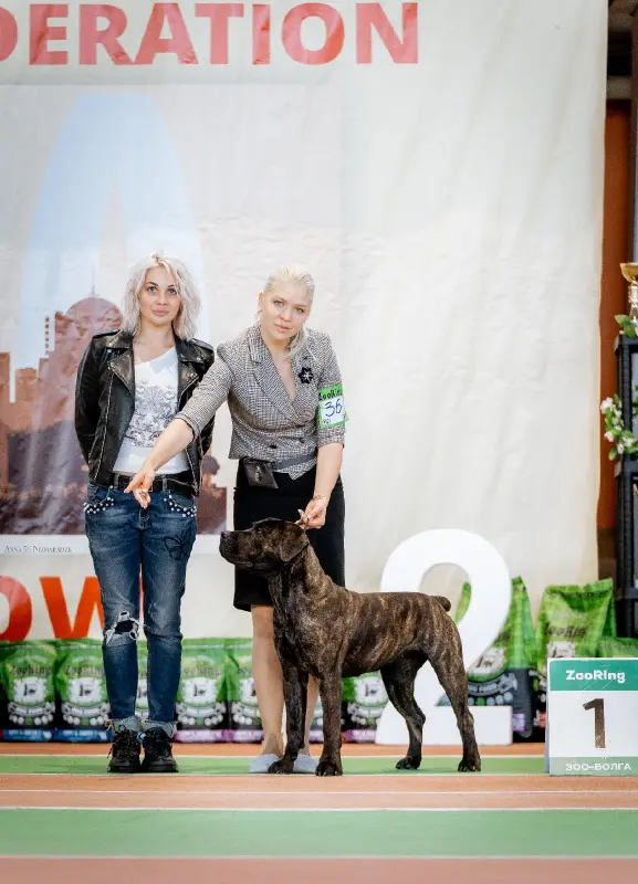 0mbSUElvEmZQjY2vFk2AQJqK5kRw_V0GbdDihDAeE1WtONKA1xFu-yCDq6ymvqmkfrosQ7VDbftGbSpA5iW2Unzt