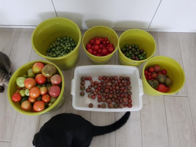 20191006-134202.jpg