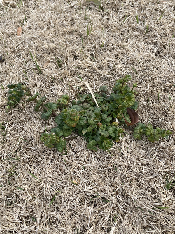 56CEB531-AD60-4167-9A1A-8C76D908EEA0