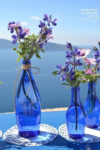 blue-bottle-flowers.jpg