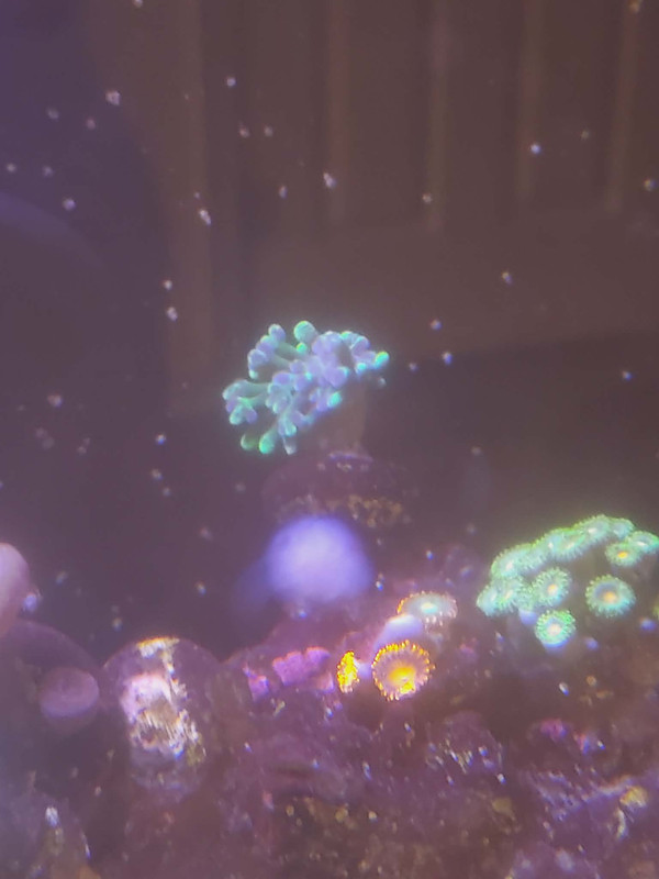 2286644d f2f9 4770 b52b 2332850bbdc6