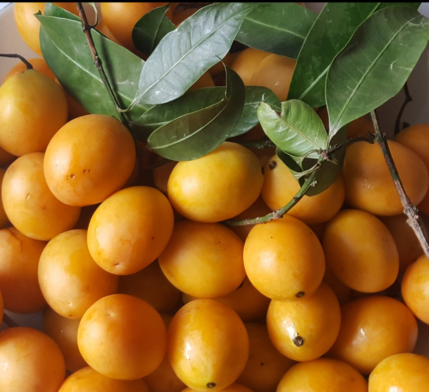 8EC06F58-FB84-4590-9205-60B9D53165E3