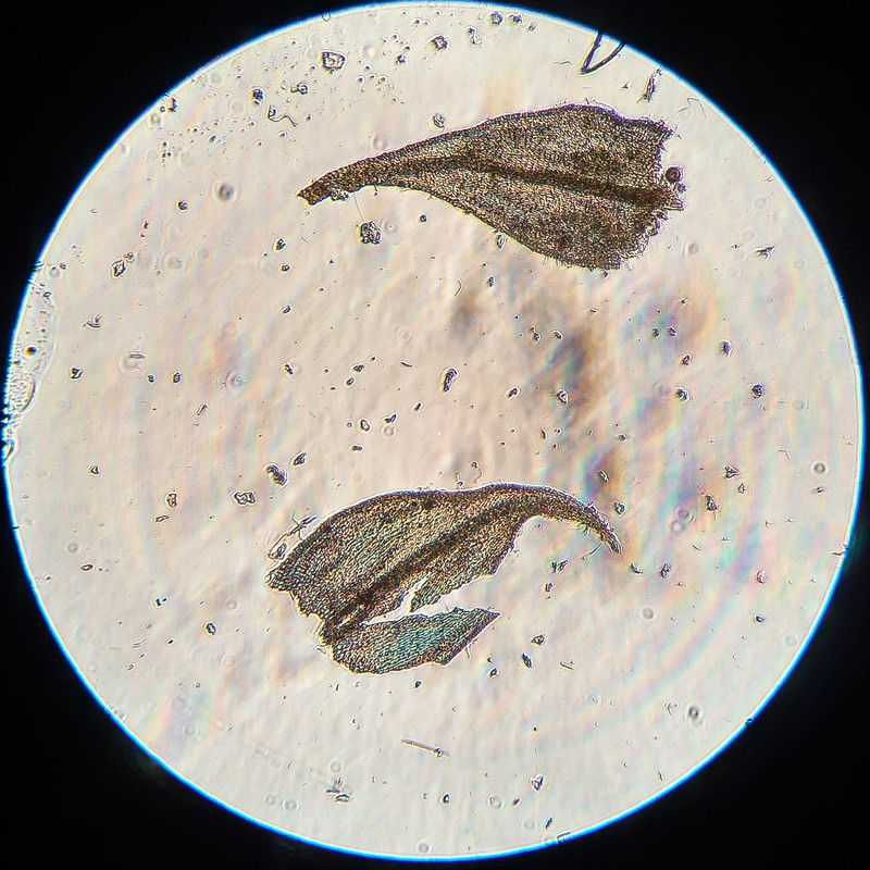 IMG 20250615 222623 HDR