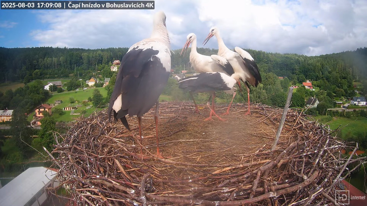 Tiešraide no KARA uzņēmuma stārķu skursteņa Bohuslavicē netālu no Trutnovas 15-58-16 screenshot (1)