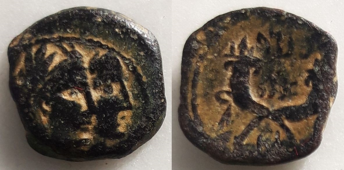 AE15 de Malico II y Saquilat II. Petra (Reino de los Nabateos) Ar1