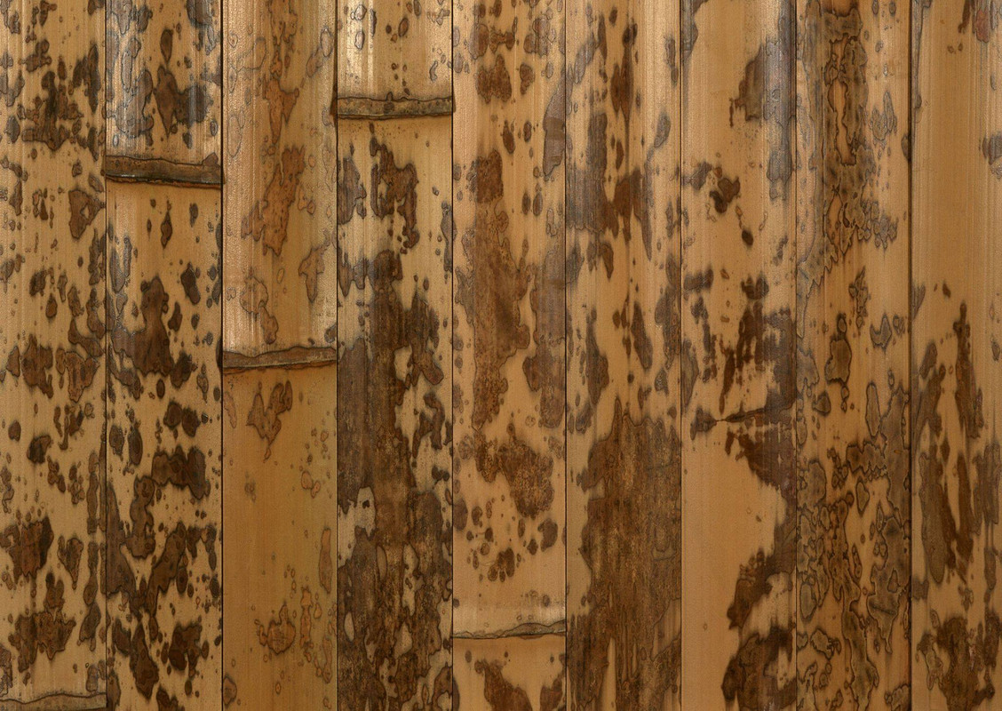wood-texture-3dsmax (493)