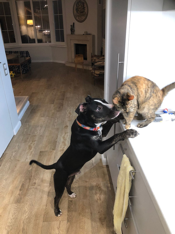 48449372-5FF7-4FDC-B13E-8D576B551AF6