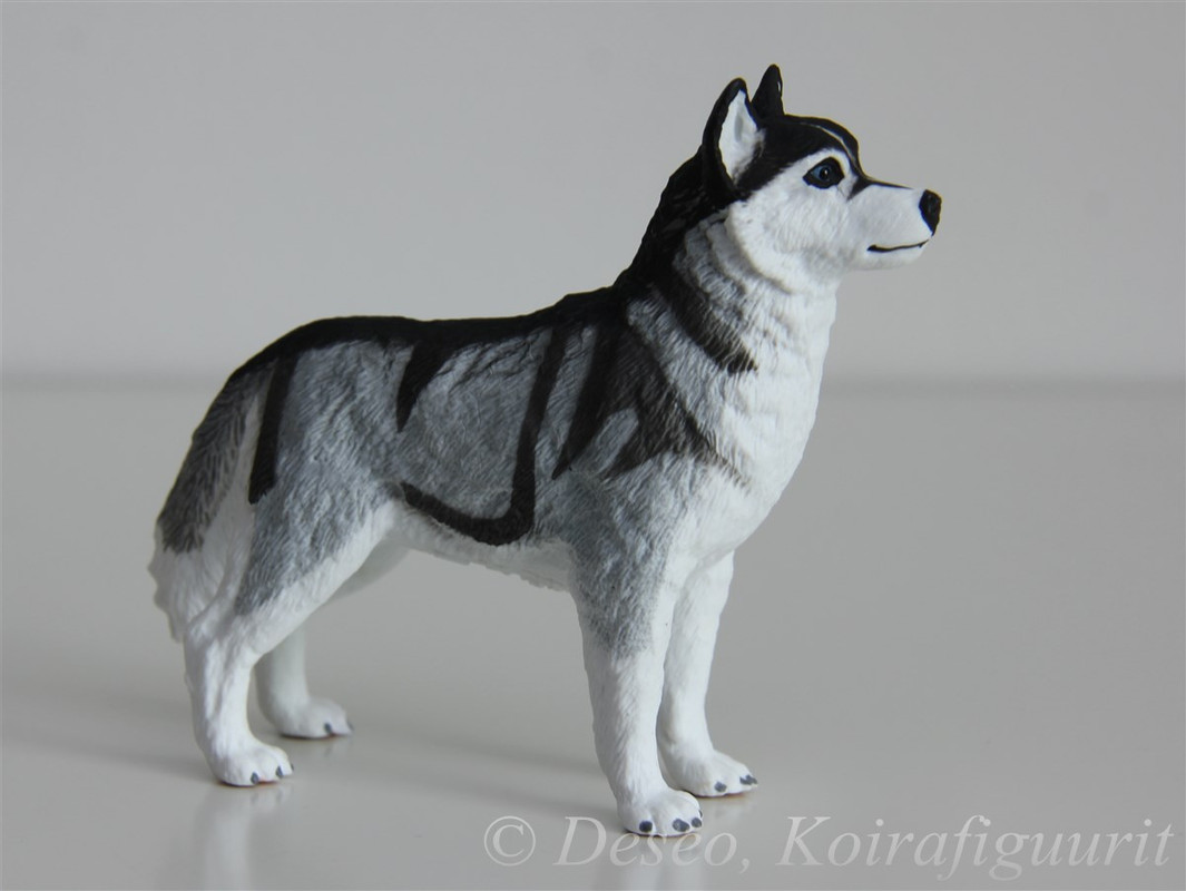 Husky