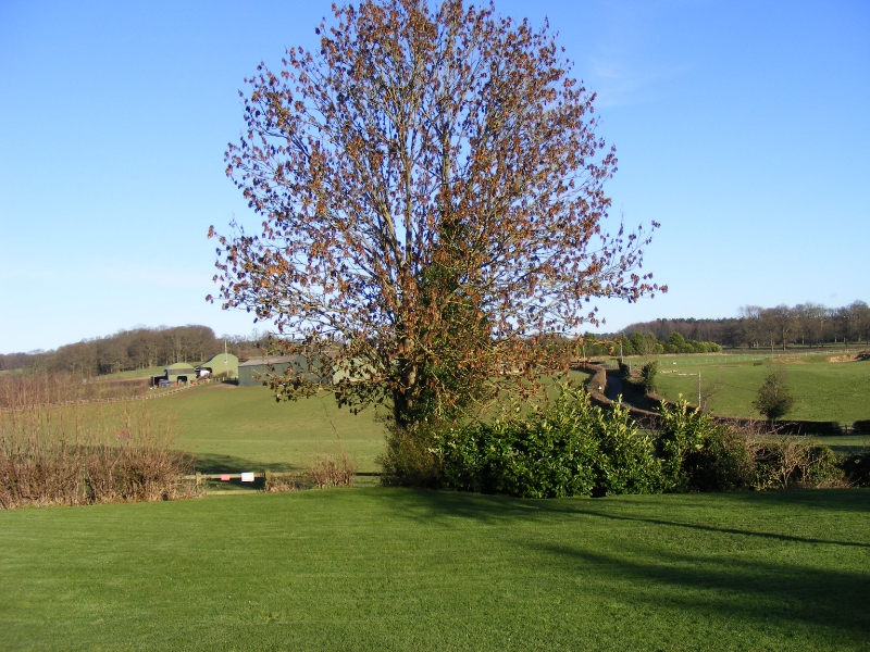 DSCF0042-zps52f9a947-jpg-original.jpg