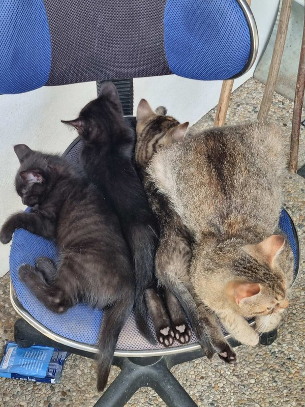 IMG-f705eb02bb0cda39268527137e3cf1a5-V