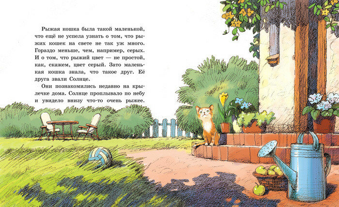 7-main-697429-original