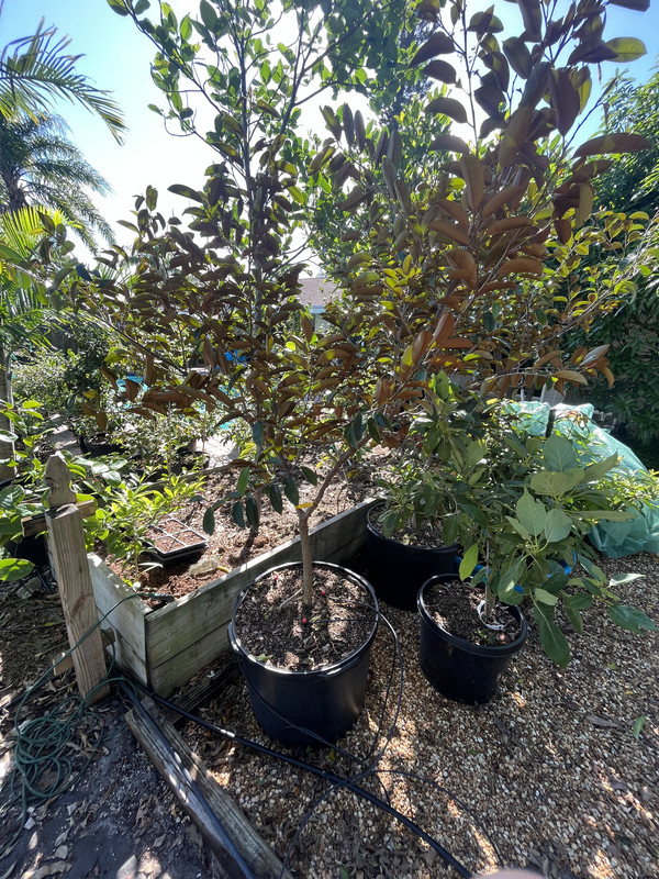 A594088A-CFBD-47C5-86F7-4DFE7F21B49F