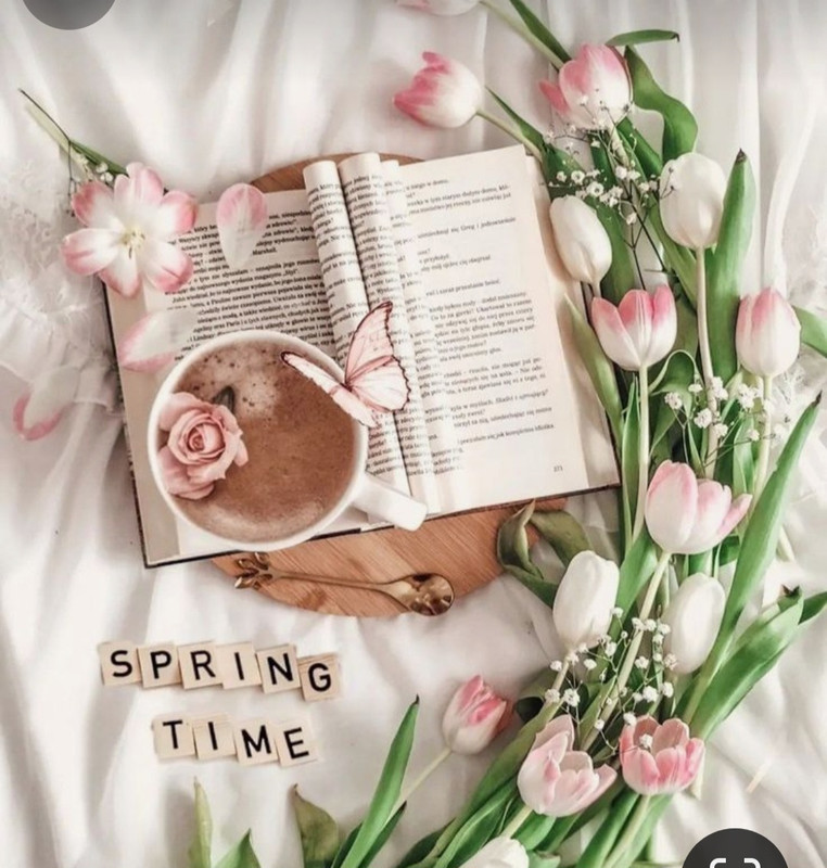 Screenshot_20240428_171440_Pinterest