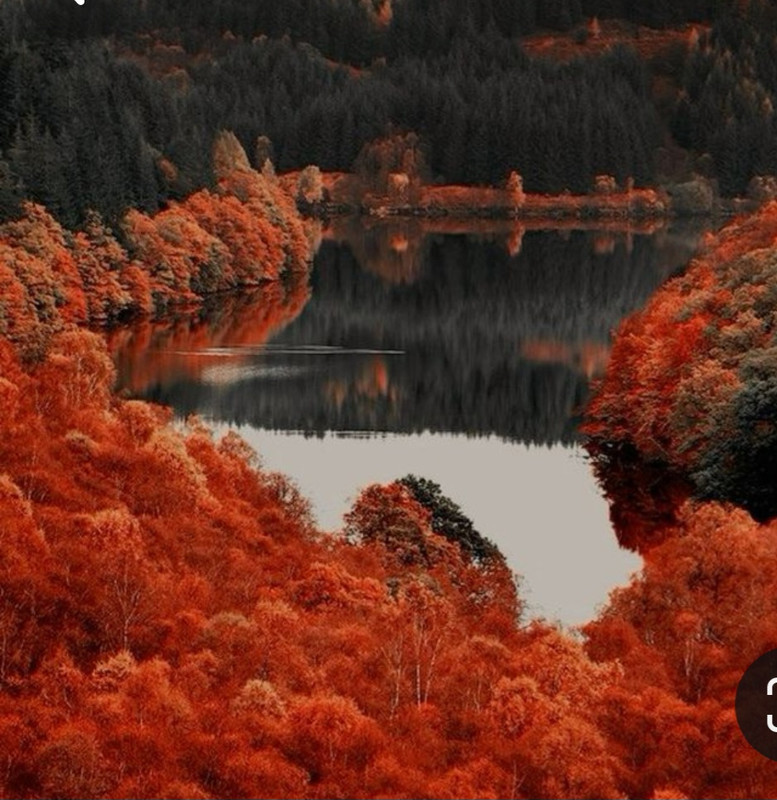 Screenshot_20240131_210716_Pinterest