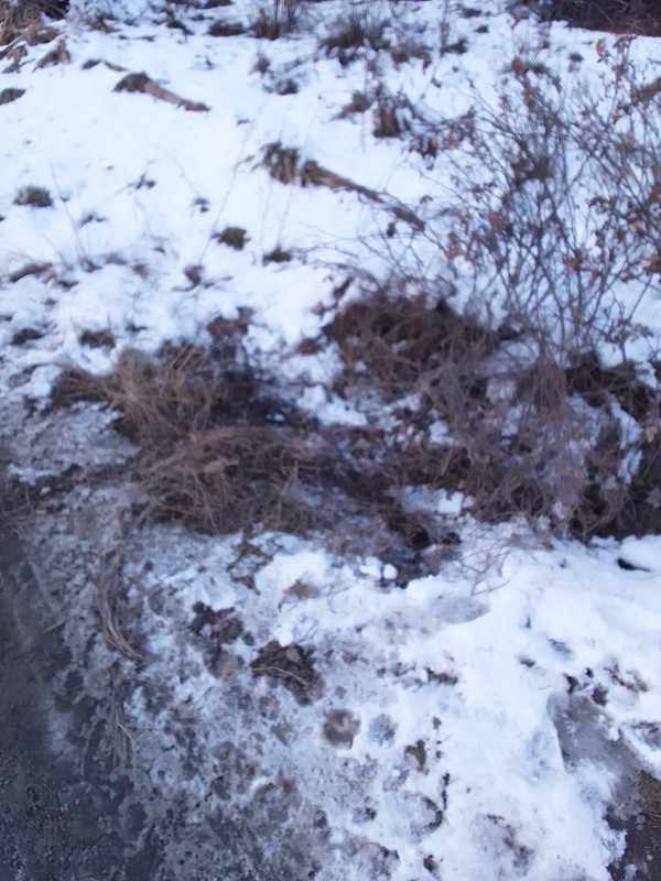 6k D9gi Lmhv1BCu Ee JBw RNGb MAU3le Gg Toeh Pd5z Afu D3w Hb RBLZRnbl2K5Z c GLu Tab UEx Jh Mb Grsivxu