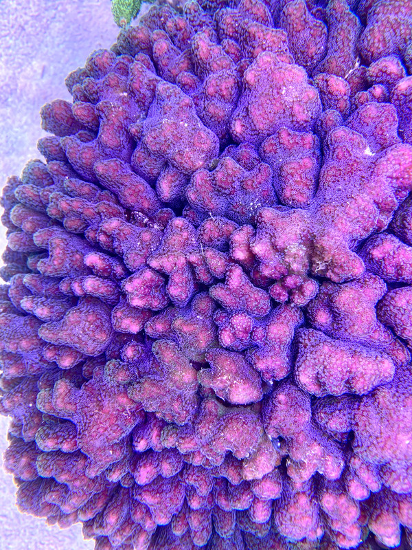 56AA0A04-3391-4DB4-B016-9869A9DE61F0