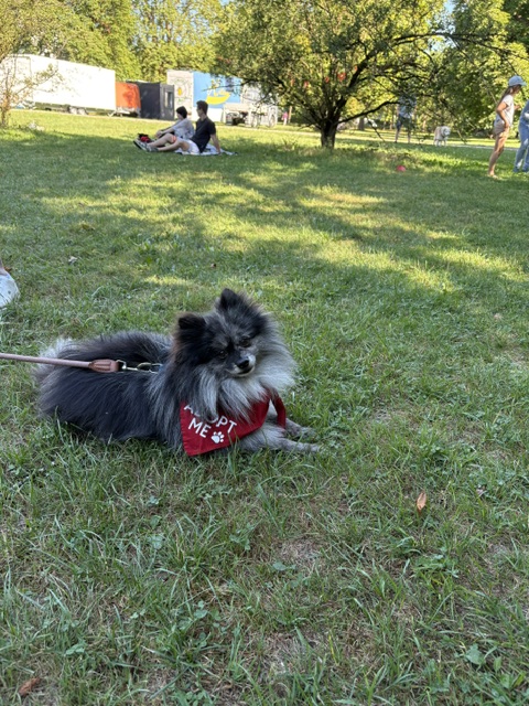 bady barkdate