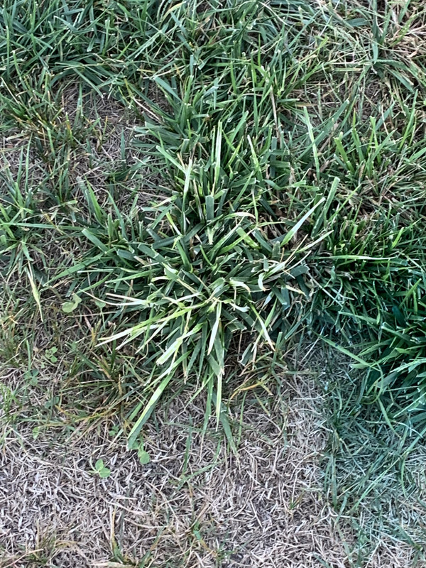 B425675F-4980-458C-BEEE-07227FF4B5E6