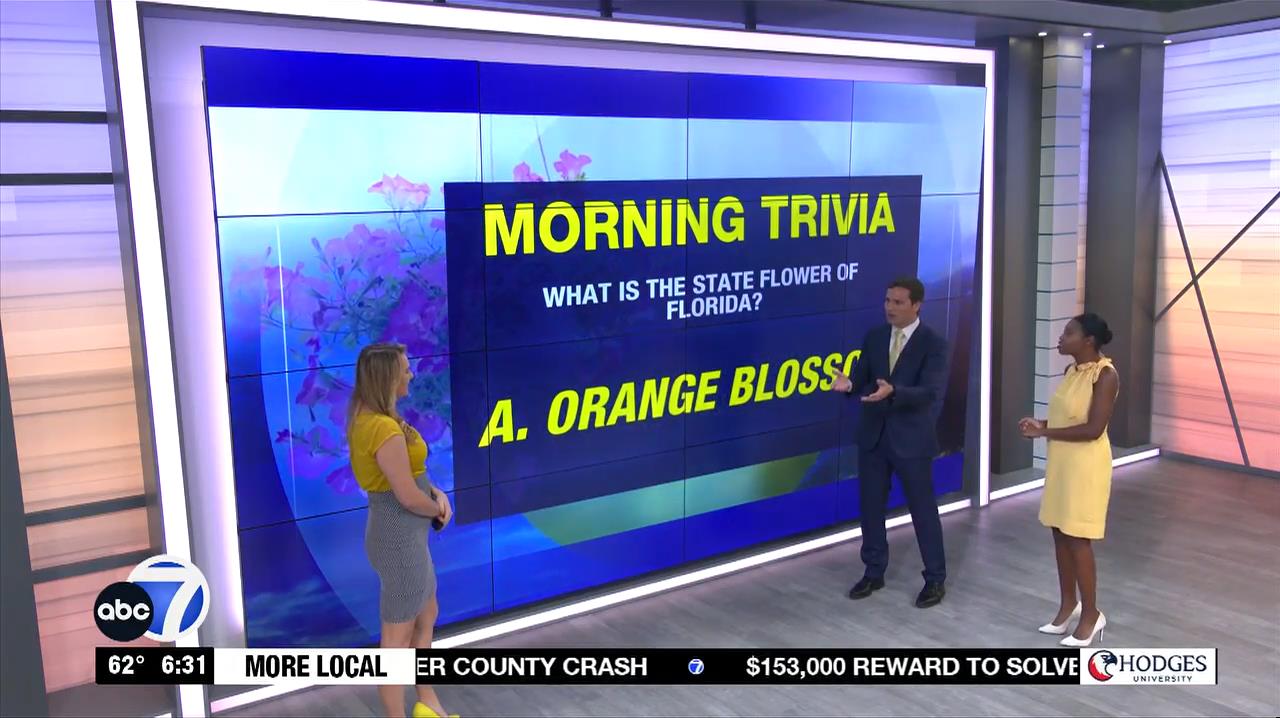03.19 - 10.00.00 - More In The Morning Weekend 6 Sunday  ᴺᵉʷ. News Co...-1.mp4_snapshot_00.36.25_[20