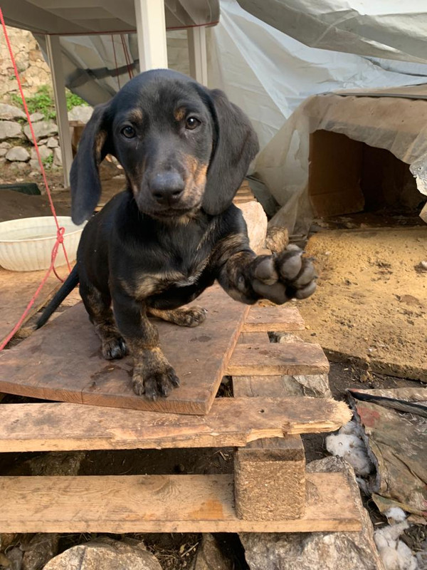 1588D098-B9D3-4F04-BFE5-C3BB0F8DAF26