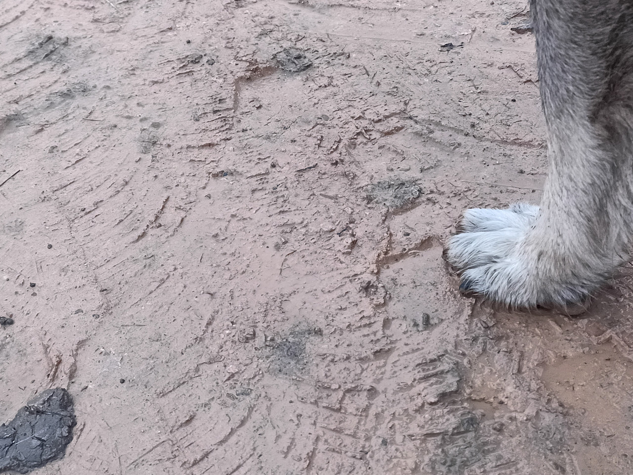 IMG 20251207 152849 696