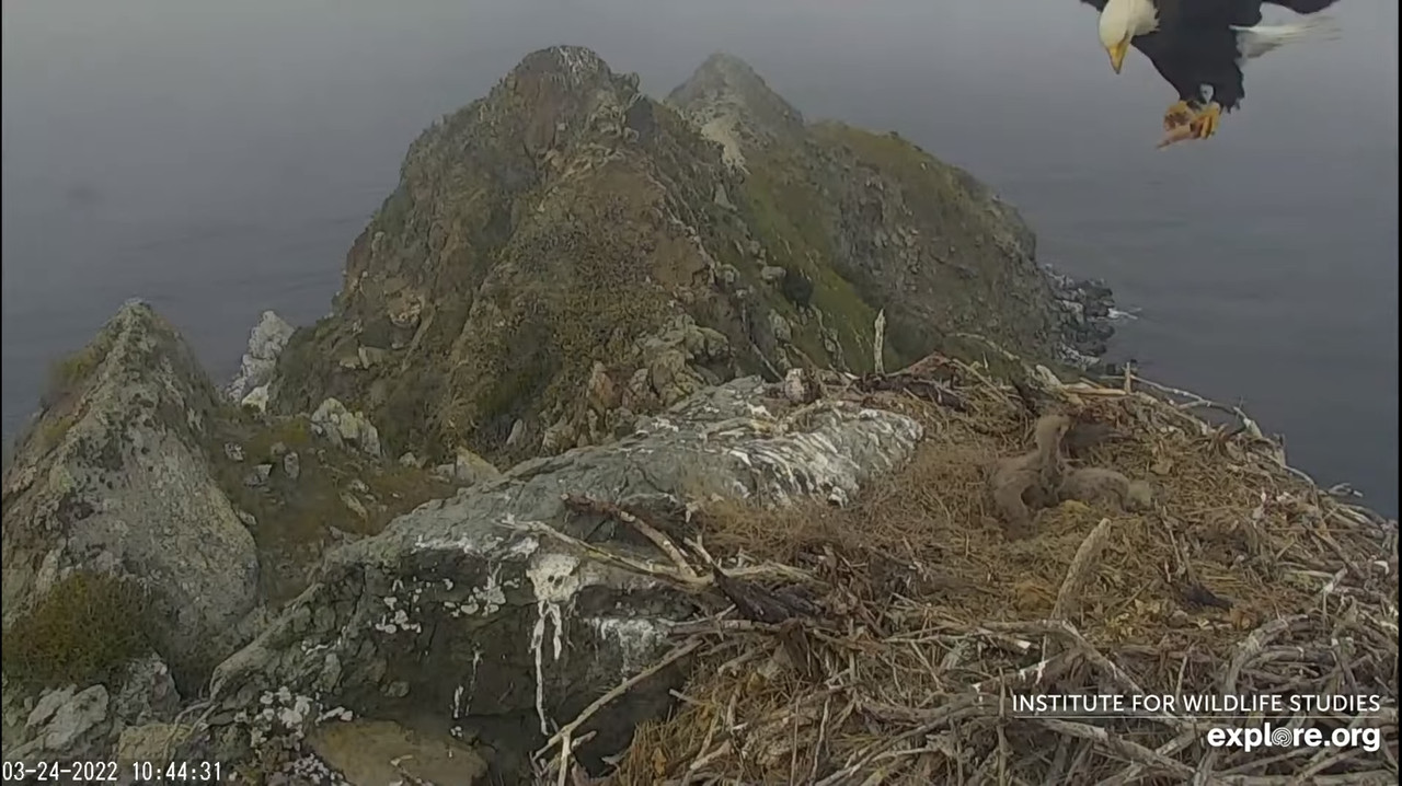 4A83F9A2-1E8E-4AF5-A32D-4C8570013776