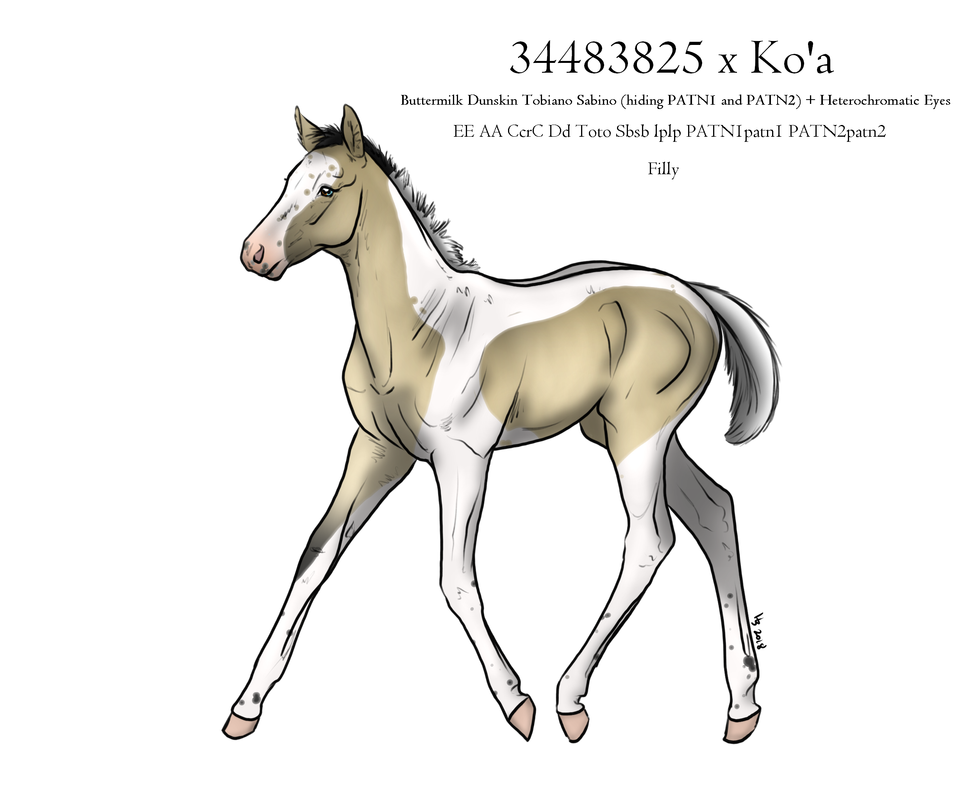 moonlit-filly2.png