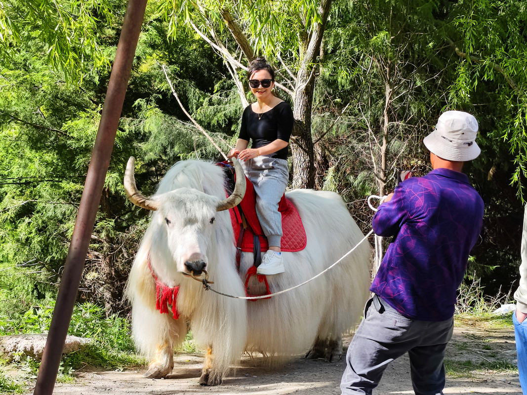 IMG_20230513_165719_副本