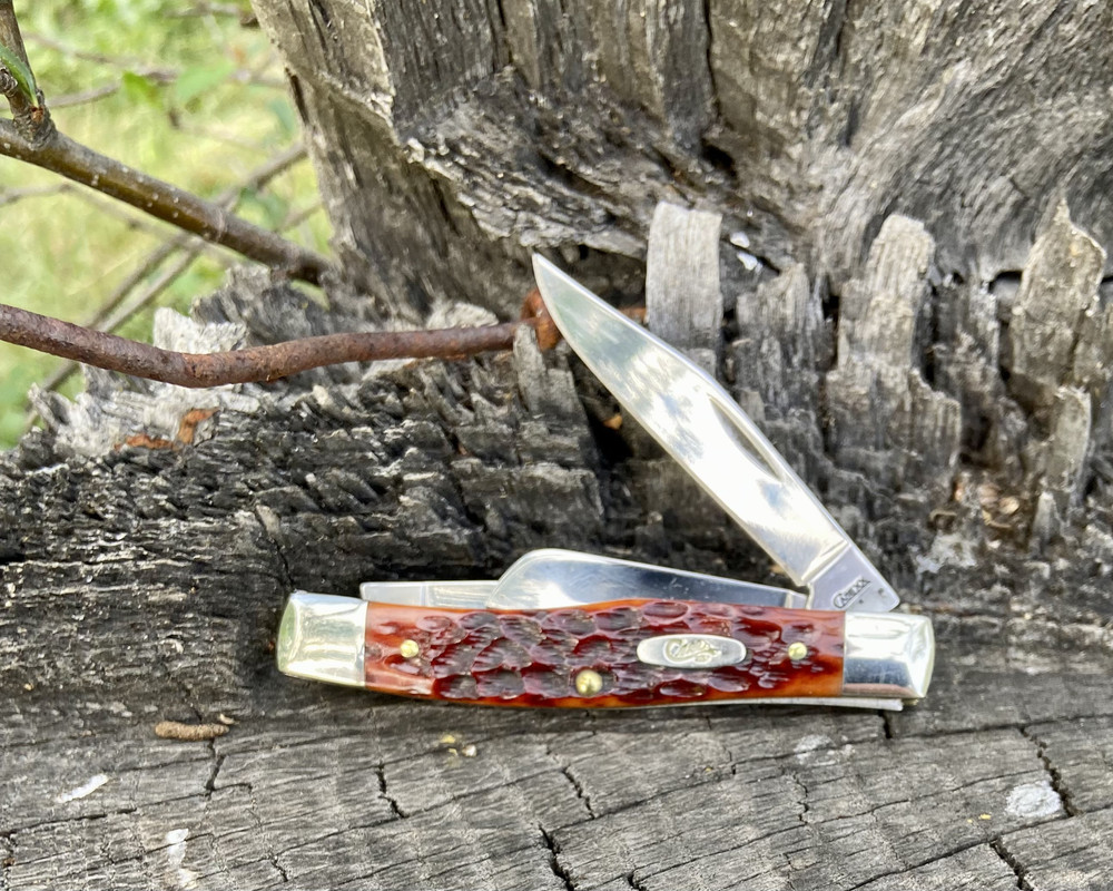 6D45E2A2-B841-4F3E-AB68-0B74EF02613B_1_201_a