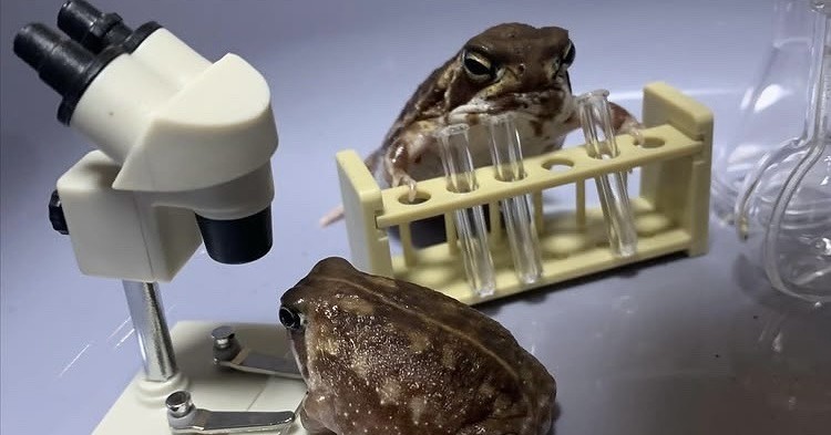 Saanaa Riorana's banner