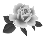 flor3