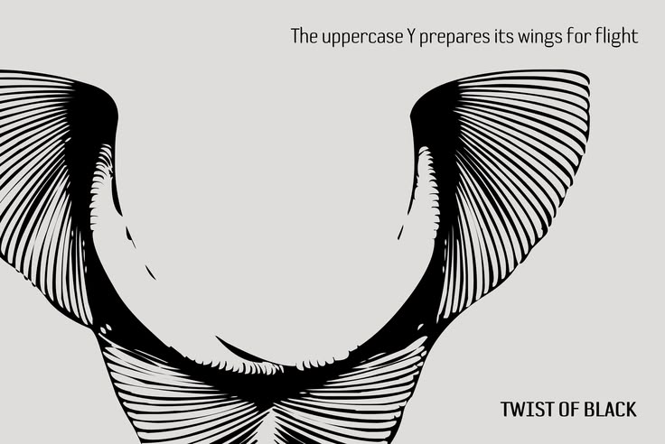 84efb60e9536a6096a78f34caf3176b5