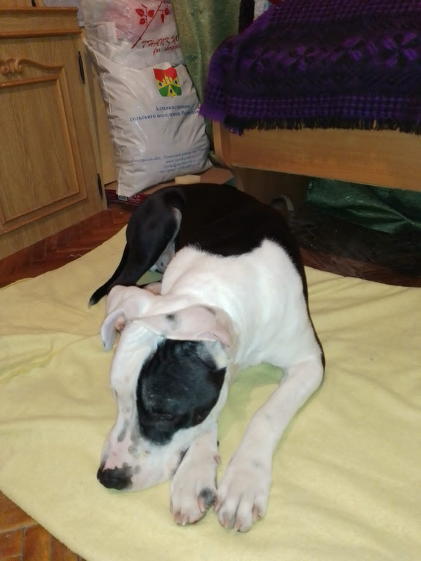 B2EBDDE3-0C52-4E50-9A91-93D9CD262A4E