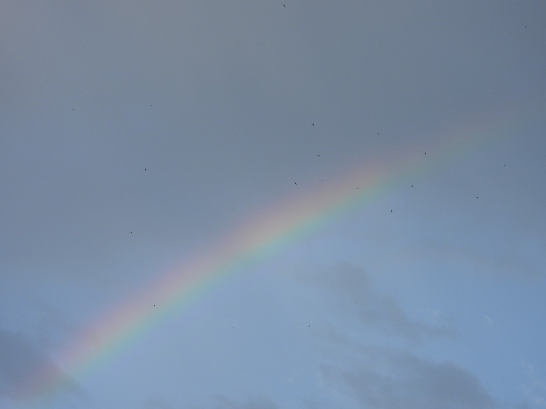 DSCN0424.jpg